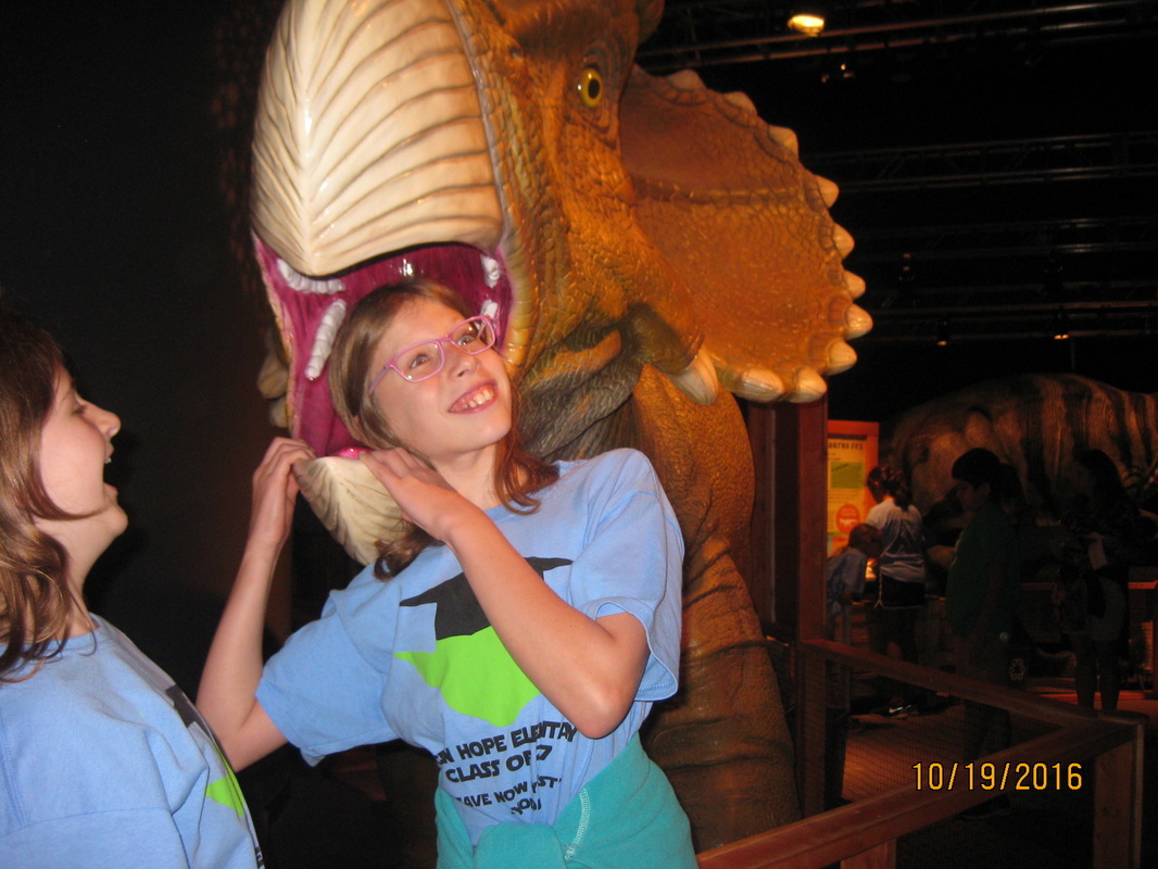 爱游戏（ayx）中国官方网站