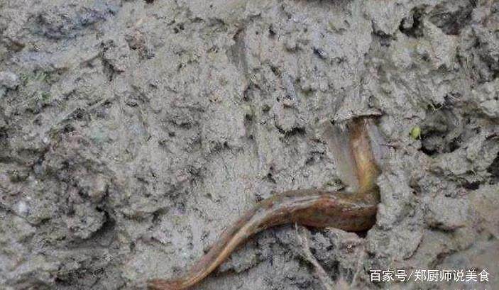 罗桐社区:一起回忆 峥嵘岁月“ayx官网”(图4) 爱游戏(ayx)中国官方网站