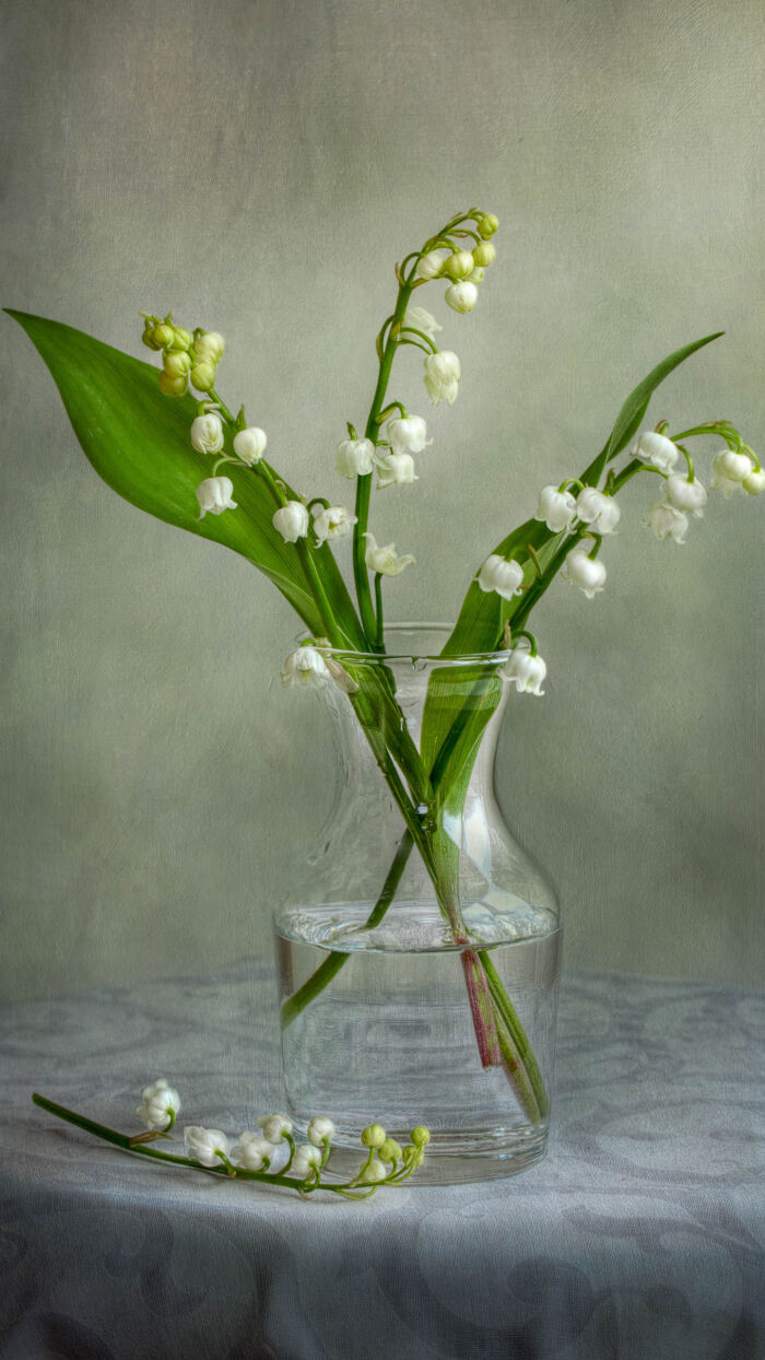 爱游戏（ayx）中国官方网站