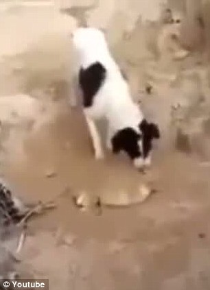 爱游戏（ayx）中国官方网站