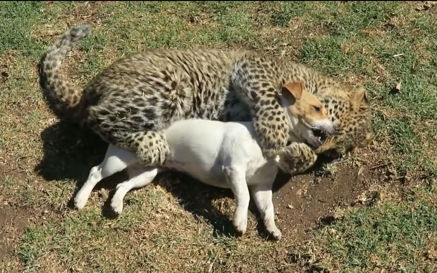 爱游戏（ayx）中国官方网站