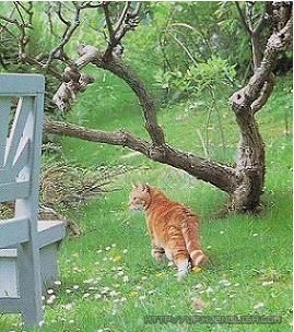 大连长海:中国海岛县上的生态故事:ayx官网(图2) ayx官网