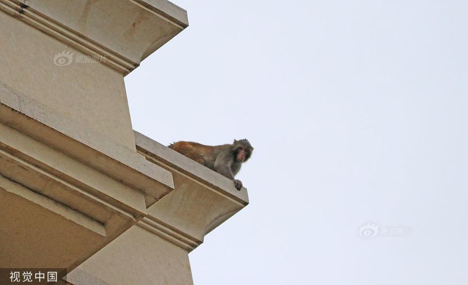 爱游戏（ayx）中国官方网站