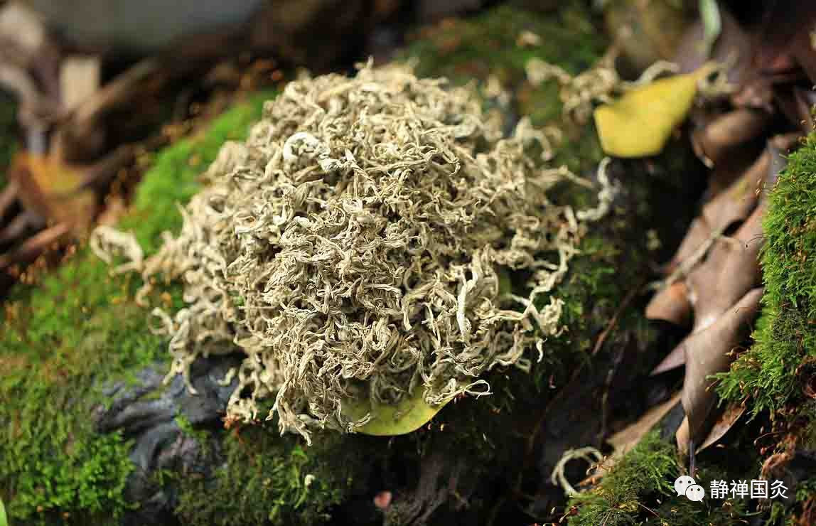 原创 诸葛亮的农本思想:他的政治主张和社会实践:ayx官网(图1) ayx官方网站