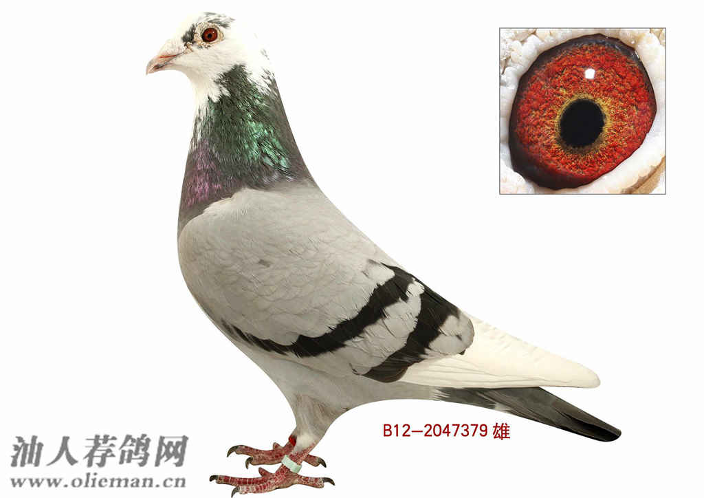 ayx官方网站|府东社区:创省示范文明城市,社工齐上阵(图2) ayx官方网站