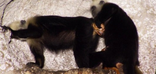 梅城镇严陵社区整治电动车乱停放乱充电_ayx官方网站(图4) 爱游戏(ayx)中国官方网站