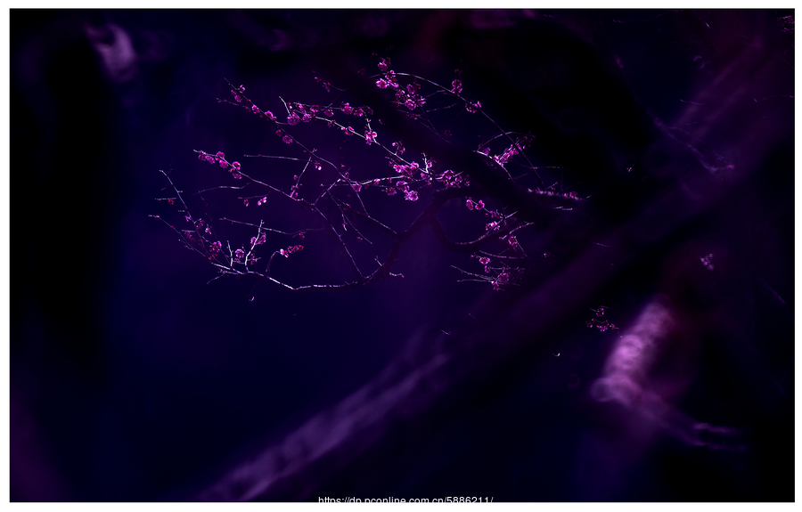 爱游戏(ayx)中国官方网站|府东社区“植树节活动”火热招募中(图2) 爱游戏(ayx)中国官方网站