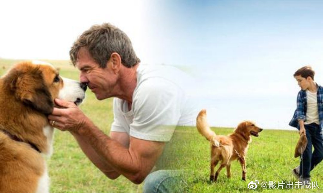 【ayx官方网站】曝华夏外租外援年薪400万欧 对方仅付5000欧(图3) ayx官方网站