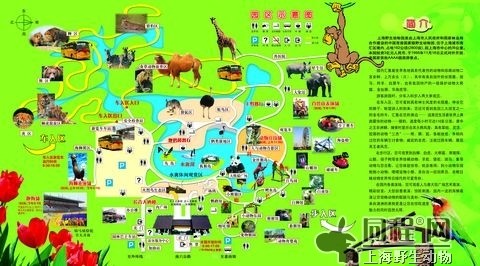 ayx官网|沧滩社区:残联街道社区共同走访特殊学子(图2) ayx官网