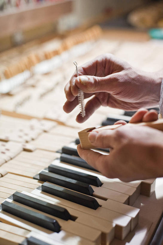 官宣三连发!上海申花签下沙拉维金信煜和小将李扬“ayx官网”(图2) ayx官网