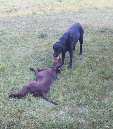 爱游戏（ayx）中国官方网站