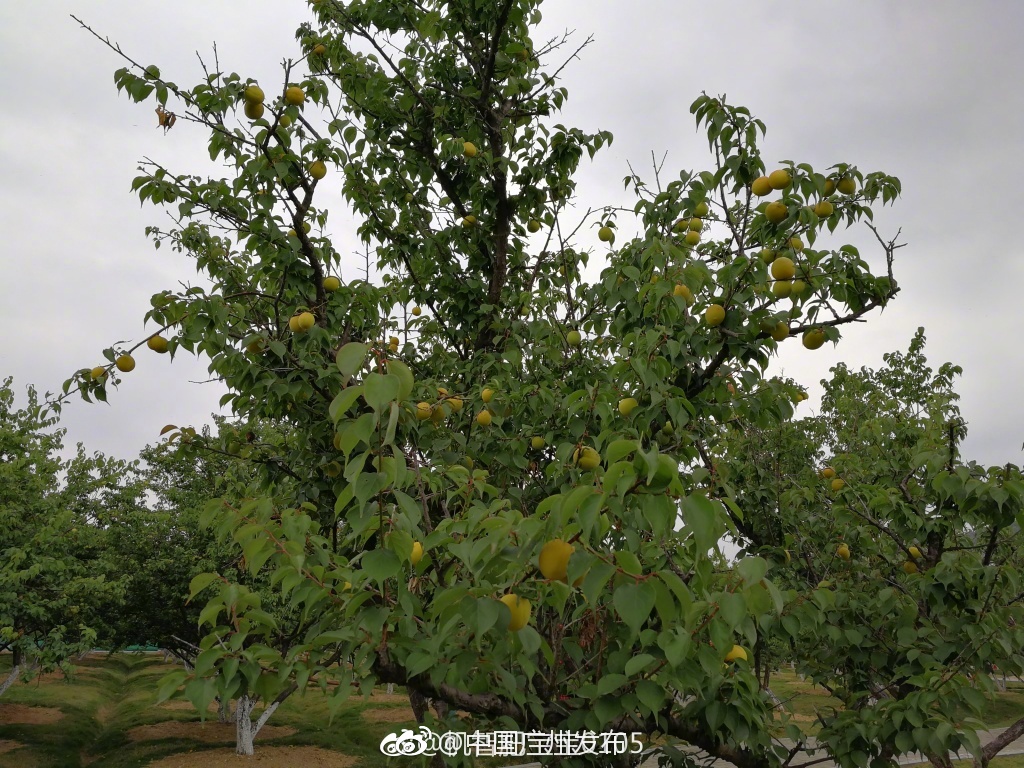 爱游戏（ayx）中国官方网站