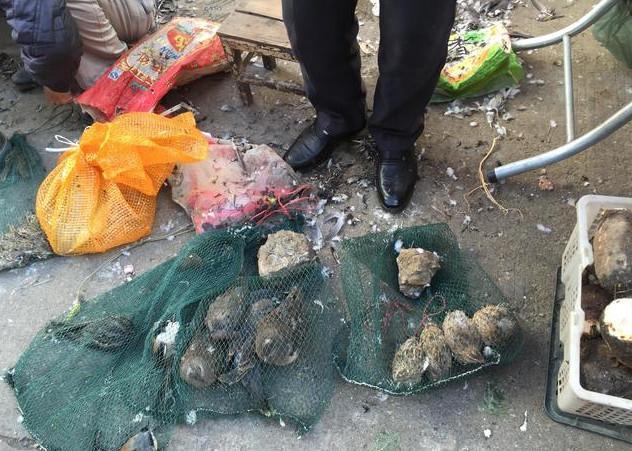 爱游戏（ayx）中国官方网站