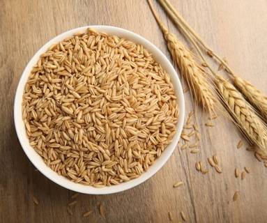 爱游戏（ayx）中国官方网站